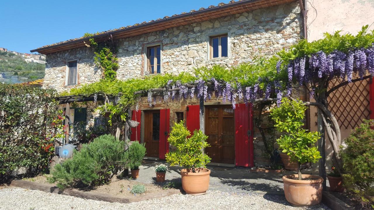 La Corte Del Falco Pieve a Nievole Eksteriør bilde