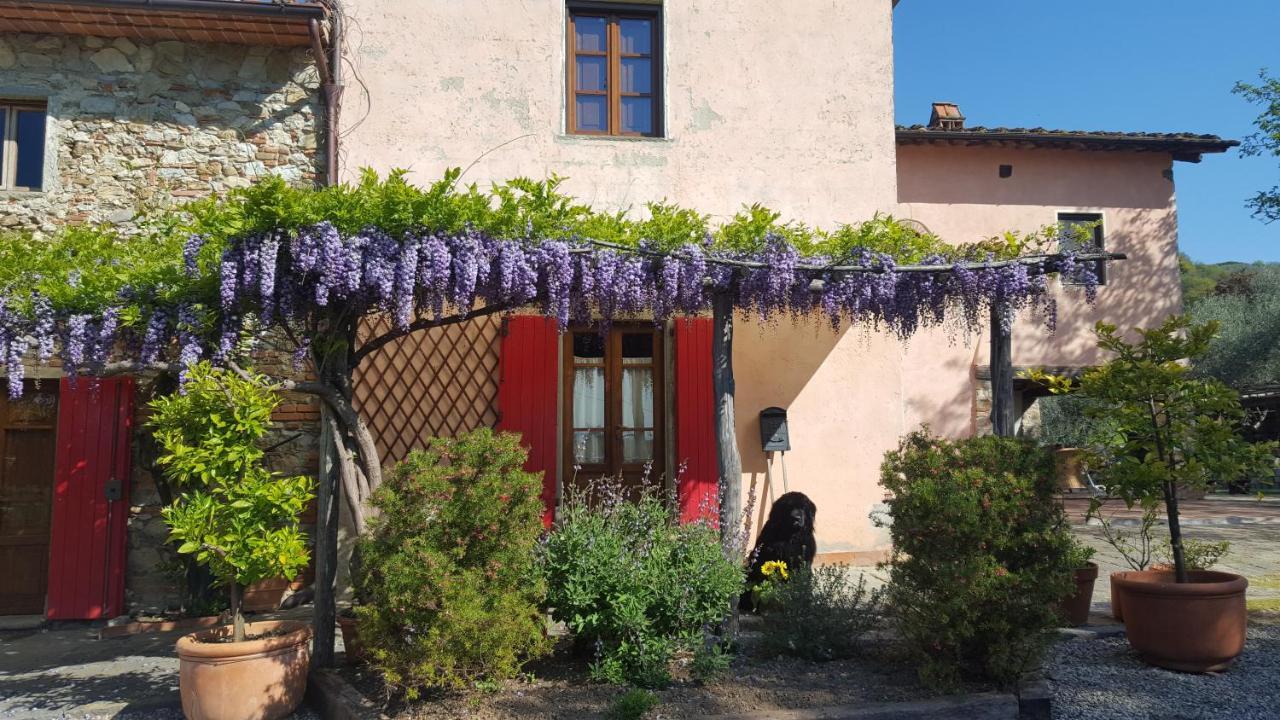 La Corte Del Falco Pieve a Nievole Eksteriør bilde